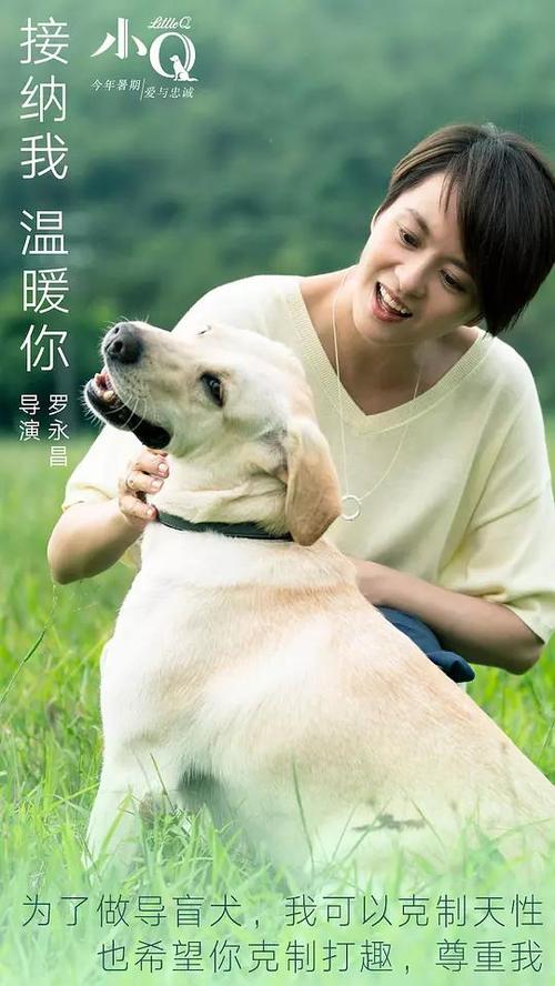 日本京都创成大学本科offer